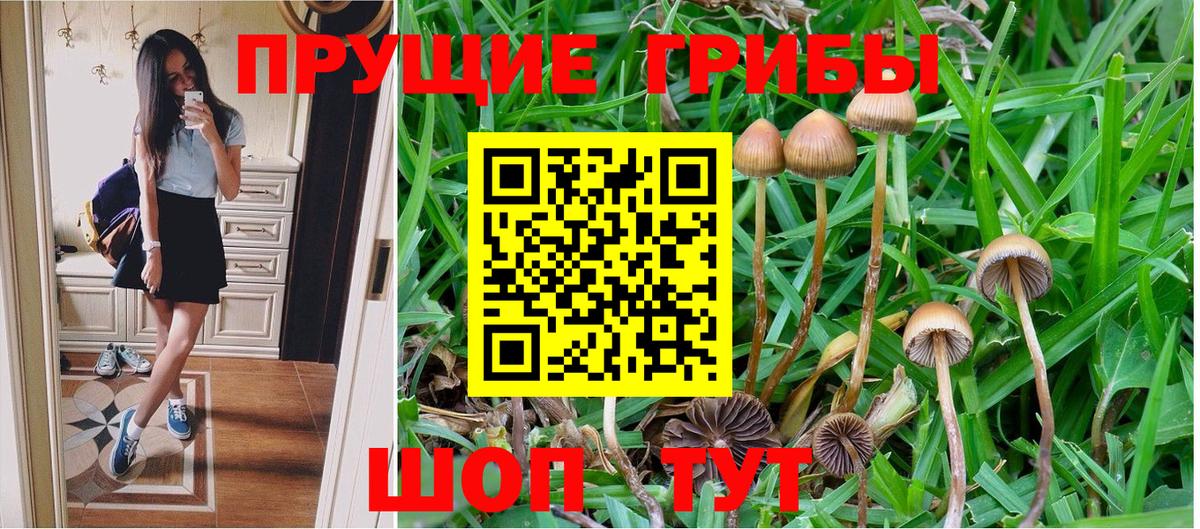 Гусиноозёрск  Псилоцибиновые грибы Cubensis  Вход с VPN 