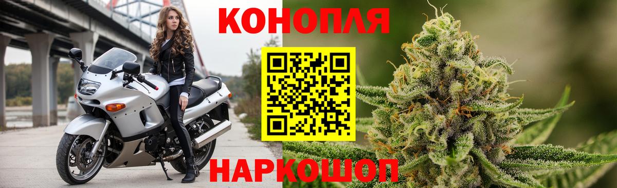 Канабис сатива Гусиноозёрск